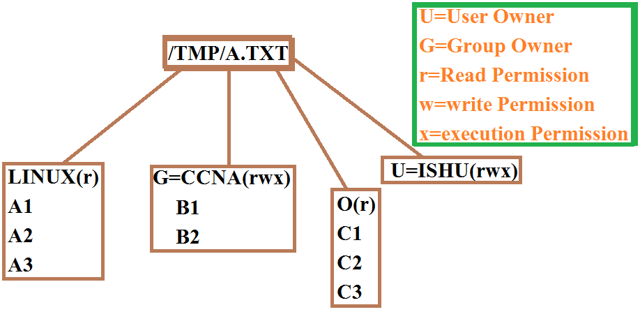 group and user permission