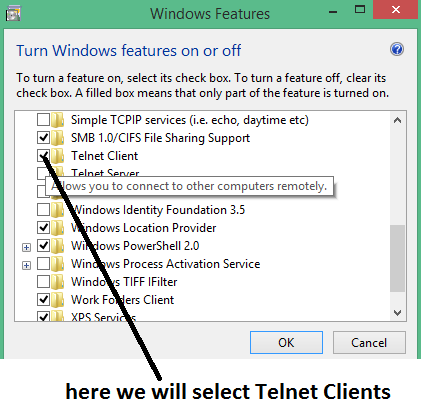 telnet client 